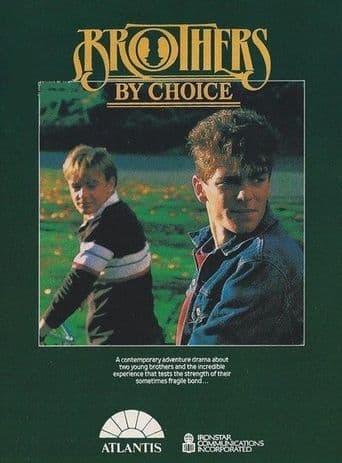 Brothers by Choice poster art