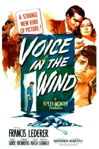 Voice in the Wind poster art