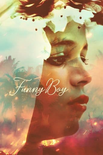 Funny Boy poster art