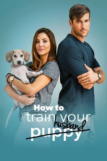 How to Train Your Husband or (How to Pick Your Second Husband First) poster art