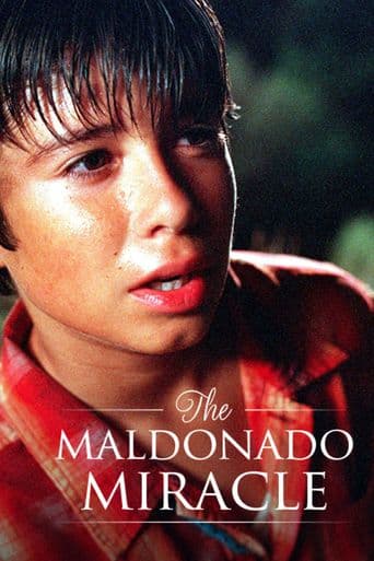 The Maldonado Miracle poster art