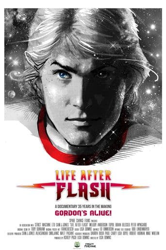 Life After Flash poster art