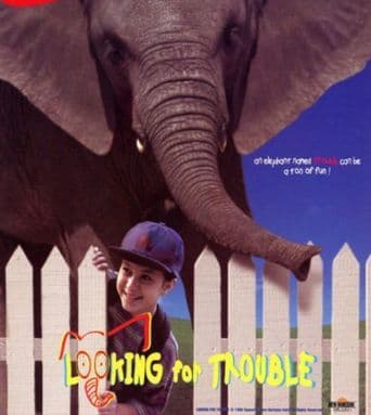 Looking for Trouble poster art