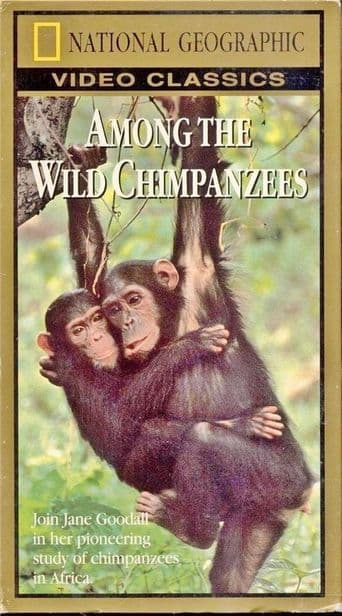 Among the Wild Chimpanzees poster art