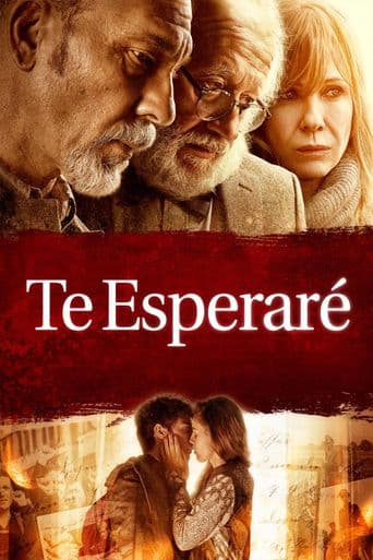 Te esperaré poster art