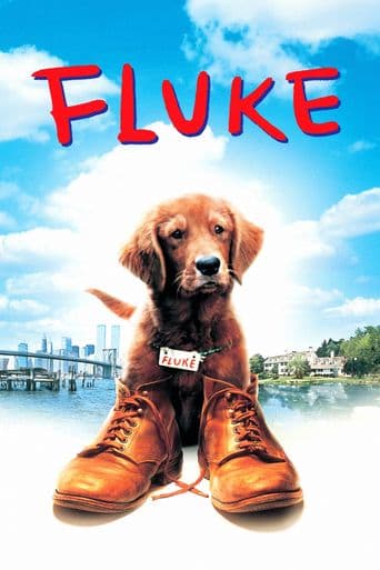 Fluke poster art