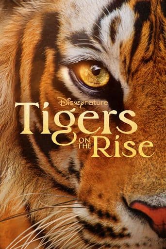 Tigers on the Rise poster art