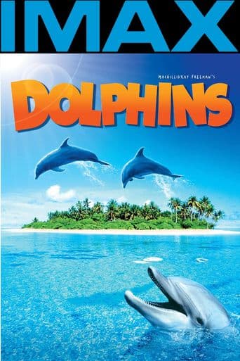 Dolphins poster art