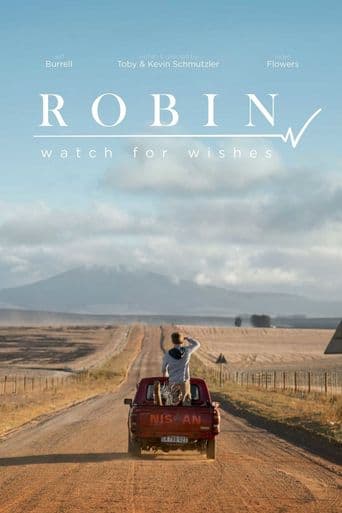 Robin: Watch for Wishes poster art