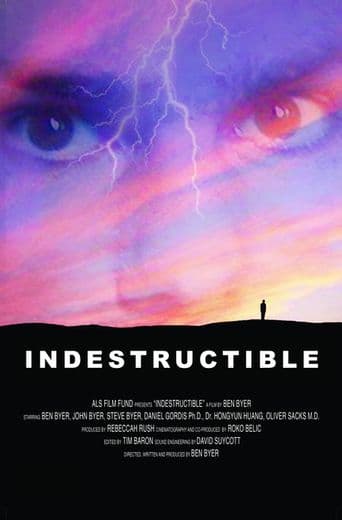 Indestructible poster art