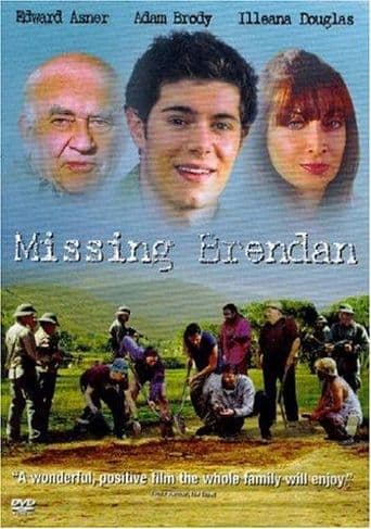 Missing Brendan poster art