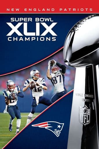 Super Bowl XLIX poster art