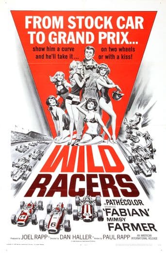 The Wild Racers poster art