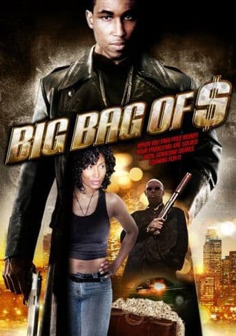 Big Bag of $ poster art