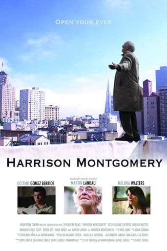 Harrison Montgomery poster art