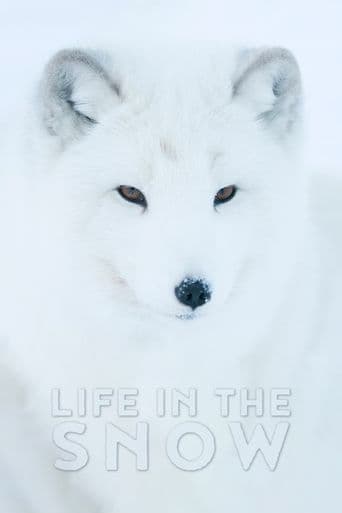 Life in the Snow poster art