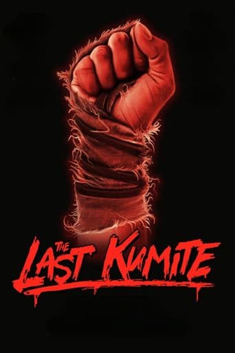 The Last Kumite poster art