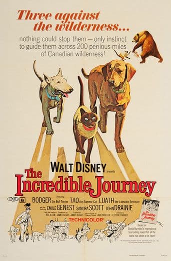 The Incredible Journey poster art