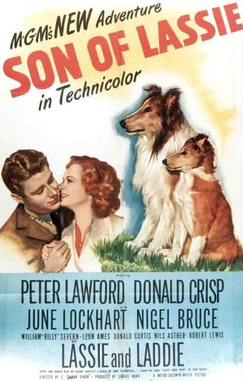 Son of Lassie poster art