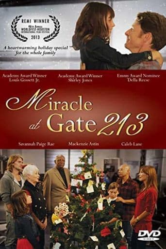 Miracle at Gate 213 poster art