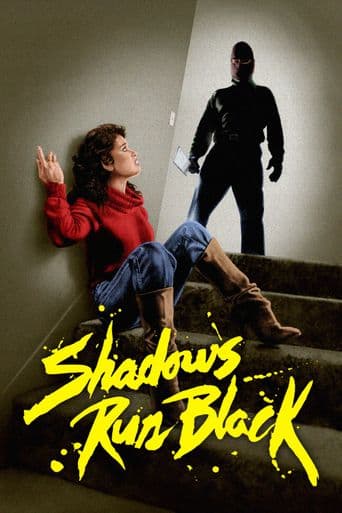 Shadows Run Black poster art