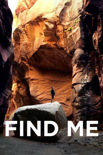 Find Me poster art