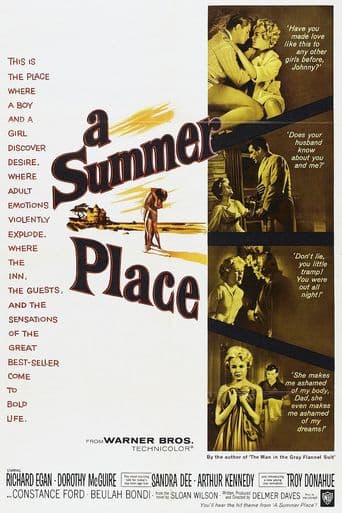 A Summer Place poster art