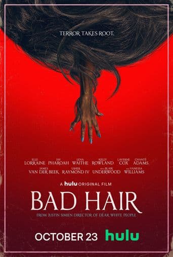 Bad Hair poster art