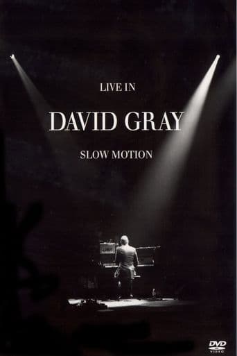 David Gray: LIVE in Slow Motion poster art