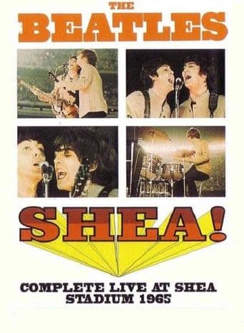 The Beatles at Shea Stadium poster art