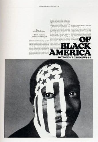 Black History: Lost Stolen, or Strayed poster art