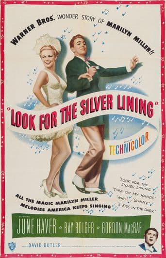 Look for the Silver Lining poster art