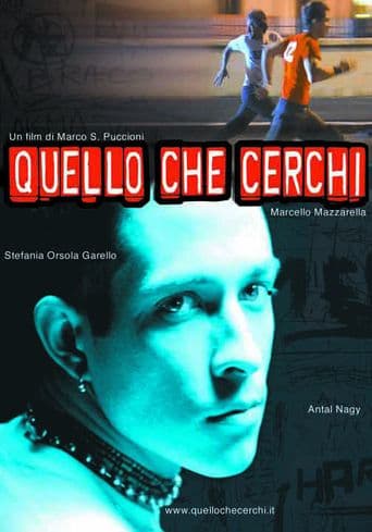 Quello Che Cerchi poster art