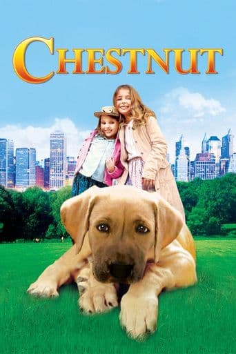 Chestnut: Hero of Central Park poster art