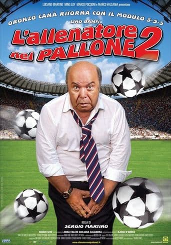 L'allenatore nel pallone 2 poster art