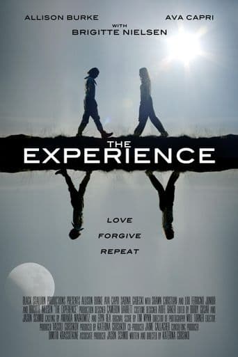 The Experience poster art