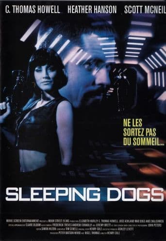 Sleeping Dogs poster art