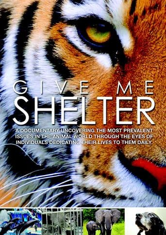 Give Me Shelter poster art