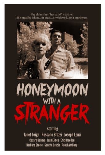 Honeymoon with a Stranger poster art