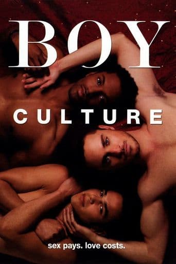 Boy Culture poster art