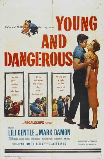 Young and Dangerous poster art