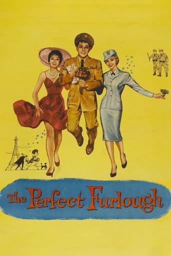 The Perfect Furlough poster art