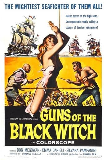 Guns of the Black Witch poster art