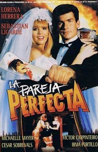 La pareja perfecta poster art