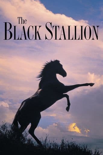 The Black Stallion poster art