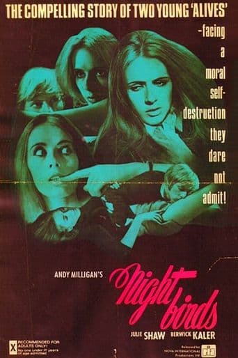 Nightbirds poster art