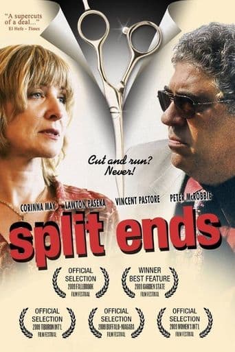 Split Ends poster art