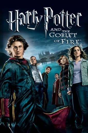 Harry Potter and the Goblet of Fire poster art