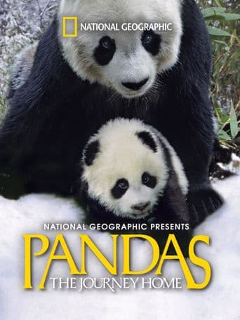 Pandas: The Journey Home poster art