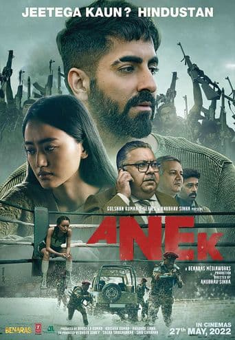 Anek poster art